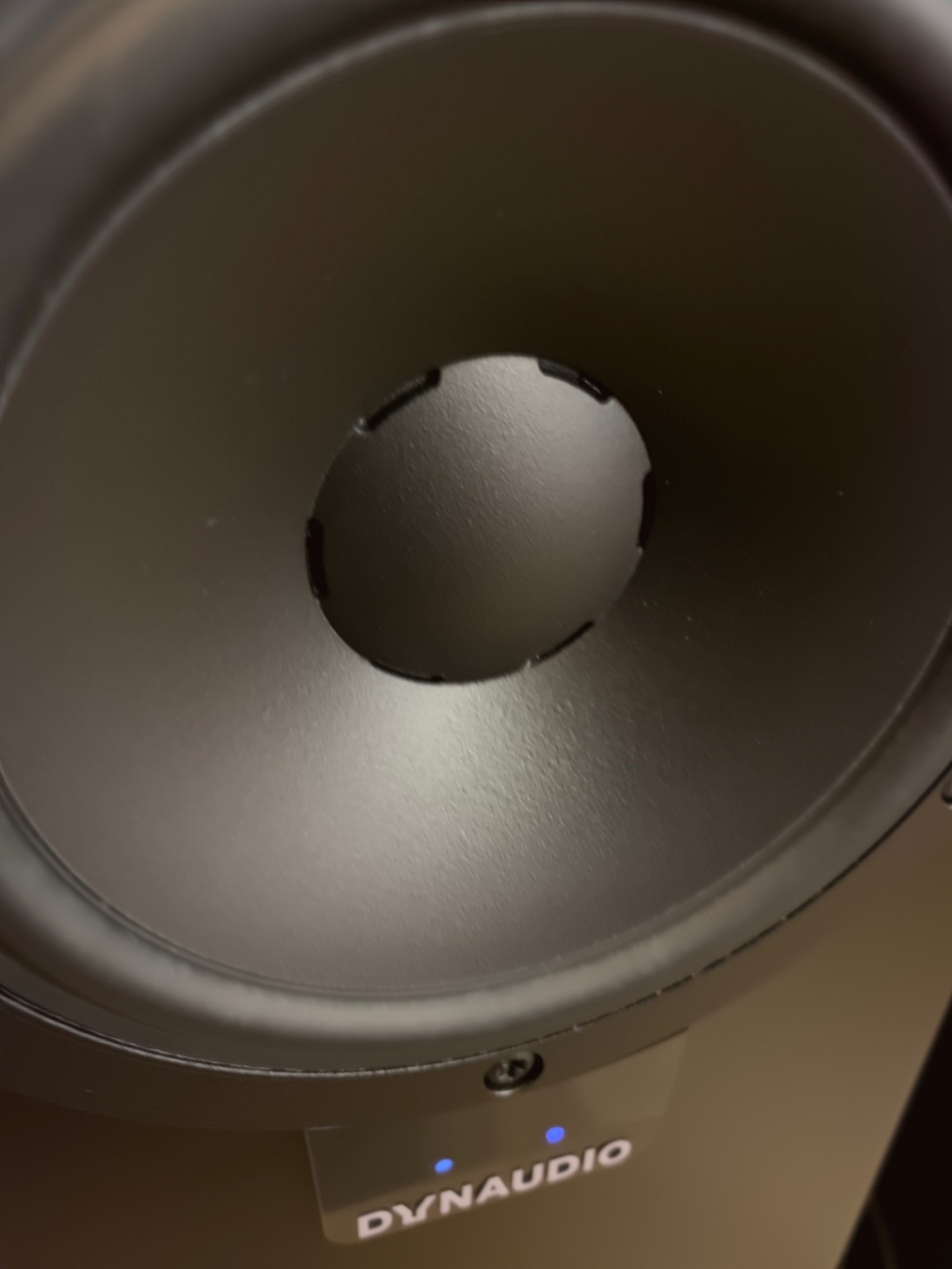 Dynaudio Xeo 30