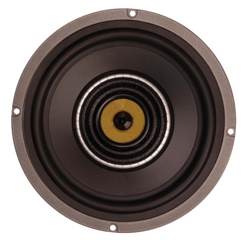 Enceintes Swans TS6 pas cher