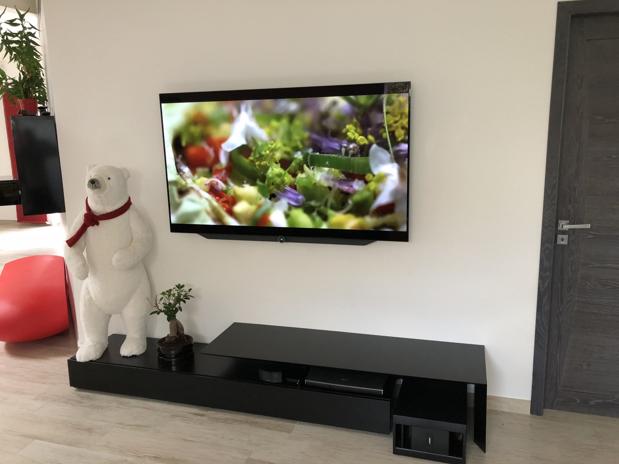 pose d'un tv loewe Bild 7.65 à Frejorques prés de l'aeroport